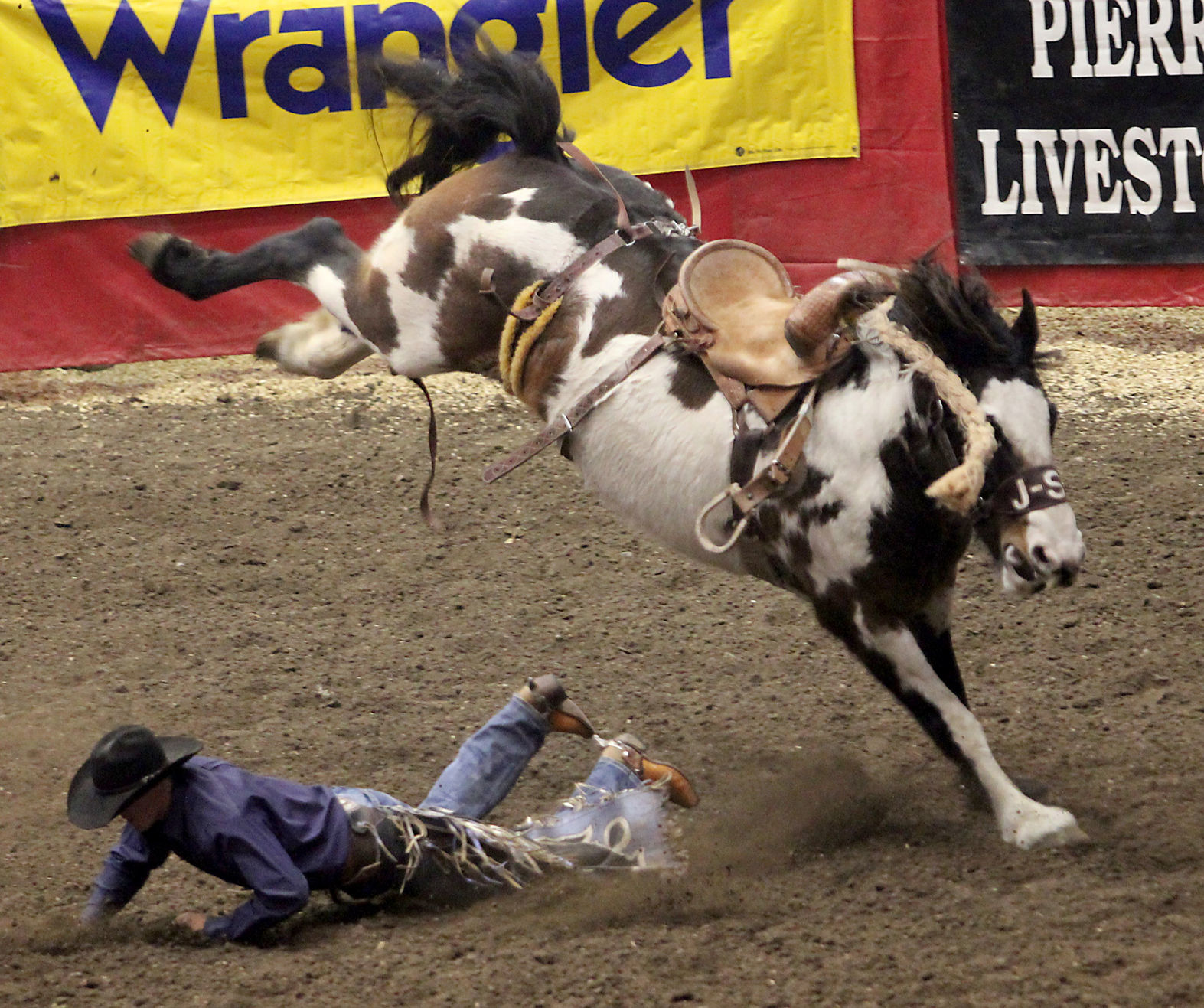 Rodeo 6.jpg